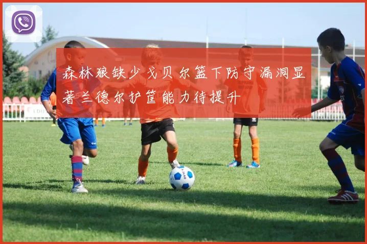 森林狼缺少戈贝尔篮下防守漏洞显著兰德尔护筐能力待提升