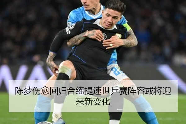 陈梦伤愈回归合练提速世乒赛阵容或将迎来新变化（leyu）